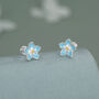 Sterling Silver Forget Me Not Flower 16 G Flat Back Stud Earring, thumbnail 3 of 10