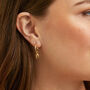 Manhattan Moka Gold Plated Shell Hoop Earrings, thumbnail 2 of 5