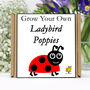 Gardening Gift. Grow Your Own Ladybird Poppies, thumbnail 1 of 6