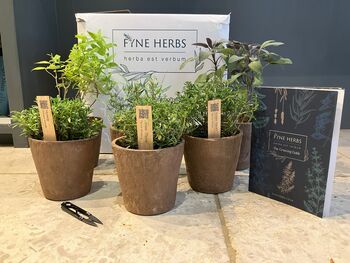 Bakers Brilliant Herb Collection, 3 of 11