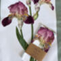 Iris Watercolour Painterly Cotton Tea Towel, thumbnail 1 of 3
