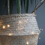 Green Wire Fairy Lights, thumbnail 1 of 3