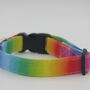 Rainbow Ombre Dog Collar, thumbnail 4 of 9