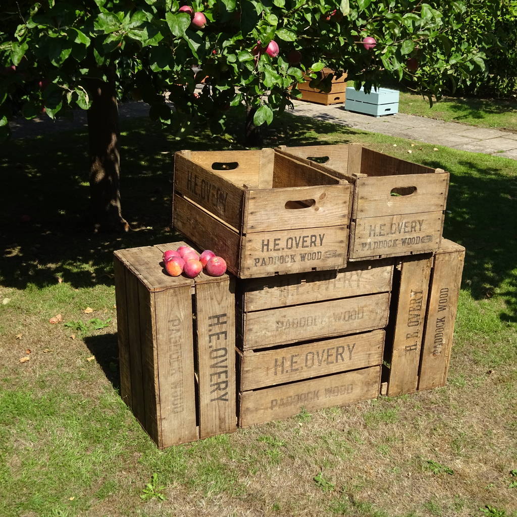 vintage apple crate by vintage crates | notonthehighstreet.com