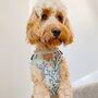Are You Floreal? Step In Dog Harness, thumbnail 4 of 5