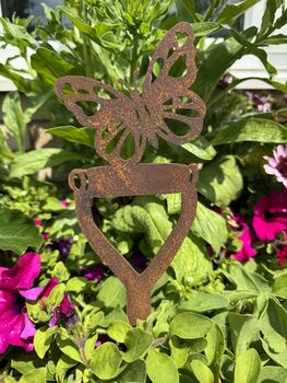 Butterfly Decoration Gift Present For Home Or Garden, 6 of 7