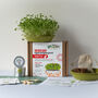 Children's Organic Grow Your Own Microgreens, thumbnail 2 of 10