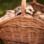 Anthien Buff Wicker Log Basket, thumbnail 4 of 6