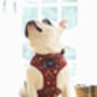 Great Adventure Dog Harness, thumbnail 3 of 7