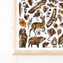 Brown Wildlife Of Britain Print, thumbnail 4 of 5