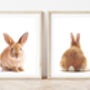 Set Of Two Bunny Rabbit Prints, thumbnail 2 of 2