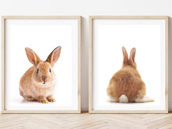 Set Of Two Bunny Rabbit Prints, 2 of 2
