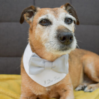 Personalised Dog Bow Tie Wedding Bandana, 11 of 12