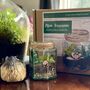 Terrarium Beaded Craft Kit, thumbnail 2 of 5