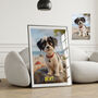 Personalised Cartoon Style Pet Portrait From Your Photo, thumbnail 2 of 11