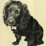 Personalised Portrait Drawing, thumbnail 4 of 10