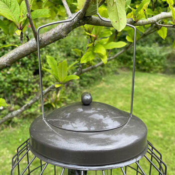 Squirrel Proof Hanging Nut And Fatball Bird Feeders, 7 of 8