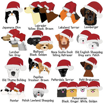 Personalised Dog Christmas Decoration Santa Hat, 7 of 12