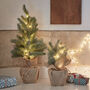 Two Pre Lit Artificial Frosted Mini Christmas Trees, thumbnail 1 of 3