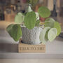 House Plant Pot Stand, thumbnail 7 of 11