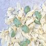 Ivory And Green Wedding Confetti | Biodegradable Petals, thumbnail 3 of 4