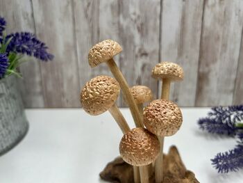 Assorted Wooden Mushroom Forest On Teak Root Wood, 11 of 12