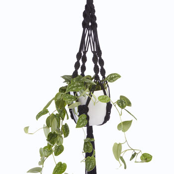 Recycled Macramé Plant Hanger, 4 of 8