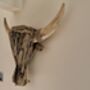 61cm Driftwood Bull Head With Horns Wooden Wall Decor, thumbnail 5 of 9