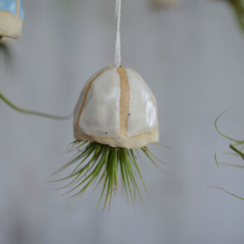 Jellyfish Air Plant Hanging Decorations Stone, 3 of 8