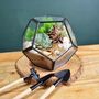 Black Geometric Terrarium Kit With Succulent, thumbnail 1 of 11