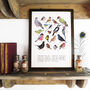 Aves British Garden Birds Art Print, thumbnail 1 of 5