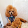 Vintage Clover Green Peonies Dog Harness, thumbnail 10 of 12