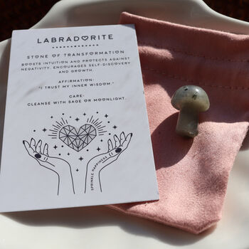 Labradorite Mushroom Crystal Gift With Pouch And Card, 5 of 8