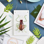 Jewel Beetle Plaque Kit, thumbnail 1 of 4