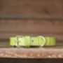 Genuine Leather Lime Green Soft Italian Dog Collar, thumbnail 2 of 8