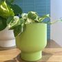 3D Printed Tall Curved Plant Pot With Drainage, thumbnail 5 of 9