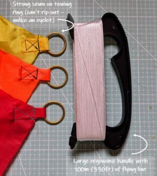 Rainbow Delta Kite By Morgan Kites, 4 of 5