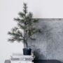 Tabletop Christmas Tree With Lights, thumbnail 1 of 4