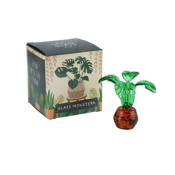 Artisan Glass Monstera Plant In Gift Box | Collectable | Glass Ornament | Home Decor, 2 of 4
