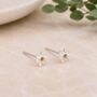 Sterling Silver Daffodil Stud Earrings, thumbnail 1 of 10