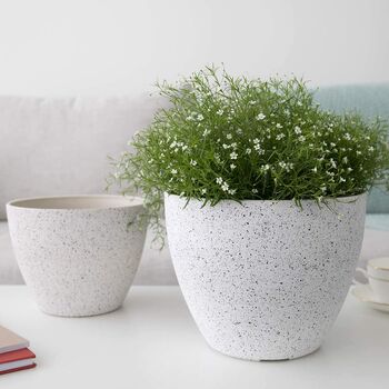 Pack Of Two Modern Planters Pots With Drainage Holes, 4 of 12