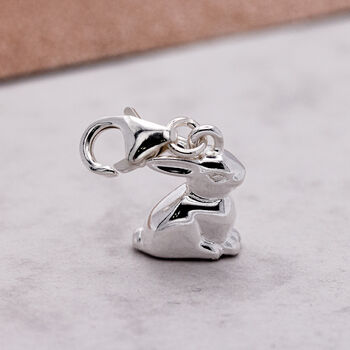 Bunny Rabbit Silver Charm, 3 of 10