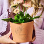 Birth Flower Personalised Flower Pot Birthday Gift, thumbnail 4 of 8