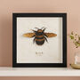 Paper Cut Honey Bee Wall Art Romantic Gift, thumbnail 1 of 8