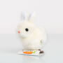 Clockwork Easter Bunny Wind Up Toy, thumbnail 1 of 2