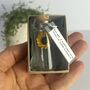Miniature Personalised Sunflower In A Bottle Keepsake, thumbnail 4 of 12