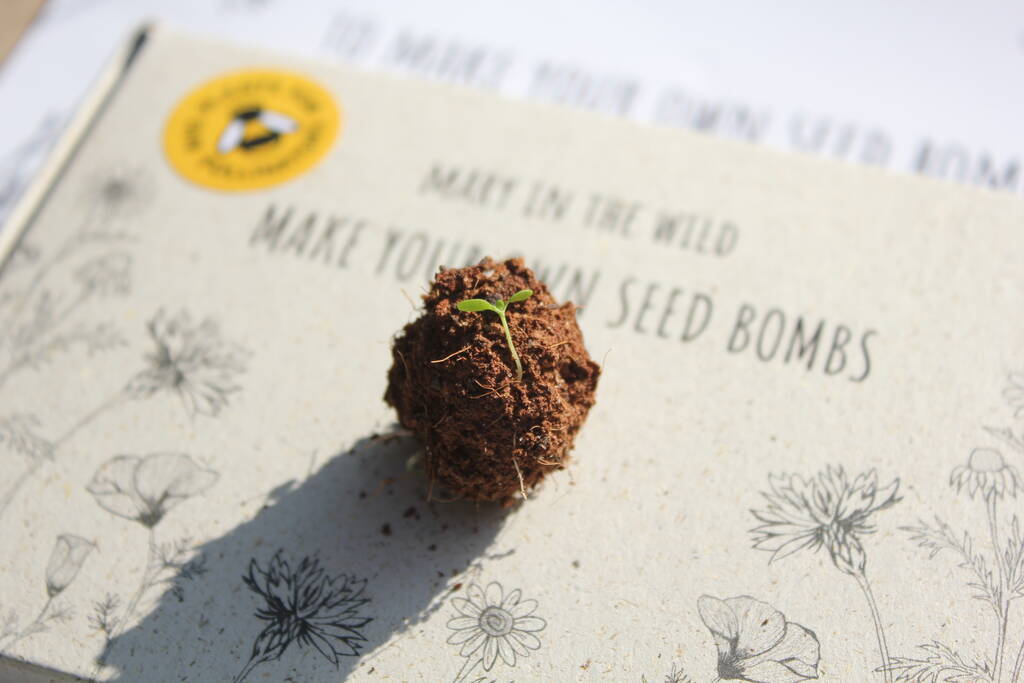 Make Your Own Wildflower Meadow Seed Bombs By Tribe Of Five