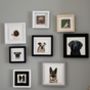 Personalised Hand Painted Dog Or Cat Portrait Tile, thumbnail 4 of 12