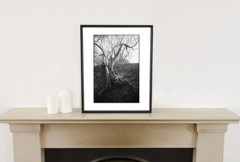 Tree Branches, Suffolk Photographic Art Print, 2 of 4