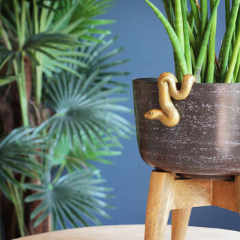 Gold Snake Pot Hanger, 2 of 2